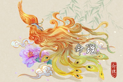 择吉老黄历_结婚择吉日_择吉皇历